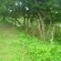  Land for sale in Selemadeg, Tabanan, Selemadeg