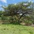  Terreno (Parcela) en venta en Malacatos (Valladolid), Loja, Malacatos (Valladolid), Loja, Loja