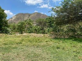  Terreno (Parcela) en venta en Malacatos (Valladolid), Loja, Malacatos (Valladolid), Loja, Loja