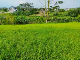  Grundstück zu verkaufen in Padalarang, West Jawa, Padalarang
