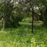  Land for sale in Celestun, Yucatan, Celestun