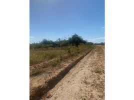  Terreno (Parcela) en venta en Coclé, Río Hato, Antón, Coclé