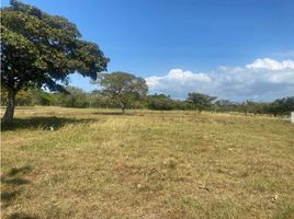  Grundstück zu verkaufen in Anton, Cocle, Rio Hato