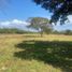  Land for sale in Cocle, Rio Hato, Anton, Cocle