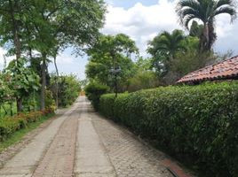  Grundstück zu verkaufen in Guayaquil, Guayas, Guayaquil, Guayaquil