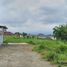  Land for sale in Batu, Malang Regency, Batu