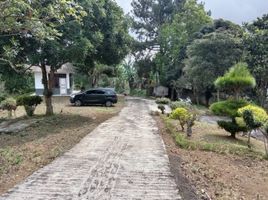 Land for sale in Sukabumi, West Jawa, Sukabumi, Sukabumi