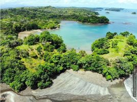 Studio Haus zu verkaufen in San Lorenzo, Chiriqui, Boca Chica