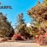  Land for sale in Villa De Alvarez, Colima, Villa De Alvarez, Colima