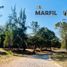  Land for sale in Villa De Alvarez, Colima, Villa De Alvarez