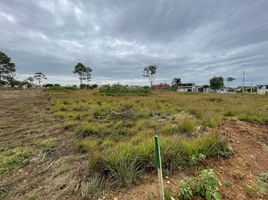  Land for sale in Comitan De Dominguez, Chiapas, Comitan De Dominguez