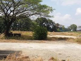  Land for sale in Kelantan, Kemumin, Kota Bharu, Kelantan