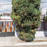 3 Schlafzimmer Haus zu verkaufen in Ecatepec De Morelos, Mexico, Ecatepec De Morelos