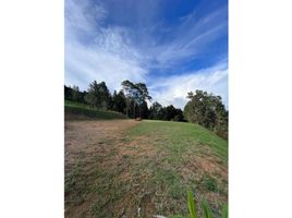  Land for sale in Envigado, Antioquia, Envigado