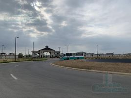  Land for sale in Samborondon, Guayas, Samborondon, Samborondon