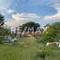  Terreno (Parcela) en venta en Salamanca, Guanajuato, Salamanca