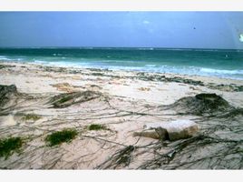  Land for sale in Felipe Carrillo Puerto, Quintana Roo, Felipe Carrillo Puerto