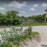  Land for sale in Escuintla, Chiapas, Escuintla