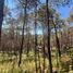  Terreno (Parcela) en venta en Mazamitla, Jalisco, Mazamitla