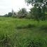  Land for sale in Ubud, Gianyar, Ubud