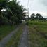  Land for sale in Ubud, Gianyar, Ubud