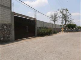  Grundstück zu verkaufen in Tlayacapan, Morelos, Tlayacapan
