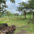  Terreno (Parcela) en venta en Tepic, Nayarit, Tepic, Nayarit