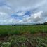  Terreno (Parcela) en venta en Tepic, Nayarit, Tepic, Nayarit