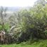  Land for sale in Selemadeg, Tabanan, Selemadeg