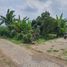 Terrain à vendre à Karangploso, East Jawa, Karangploso