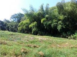  Land for sale in Caldas, Neira, Caldas