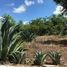 Studio House for sale in Kantunil, Yucatan, Kantunil