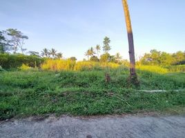  Land for sale in Ngemplak, Sleman, Ngemplak