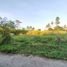  Land for sale in Ngemplak, Sleman, Ngemplak