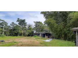  Terreno (Parcela) en venta en San Rafael, Antioquia, San Rafael