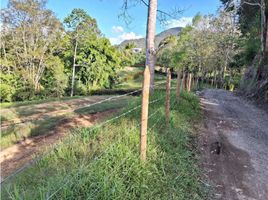  Land for sale in Bare Foot Park (Parque de los Pies Descalzos), Medellin, Medellin