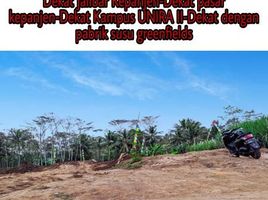  Land for sale in Ngajum, Malang Regency, Ngajum