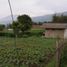  Grundstück zu verkaufen in Lembang, West Jawa, Lembang, Bandung, West Jawa, Indonesien