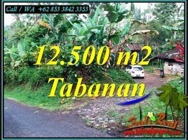  Land for sale in Selemadeg, Tabanan, Selemadeg