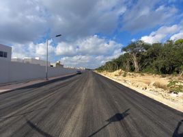  Grundstück zu verkaufen in Cancun, Quintana Roo, Cancun