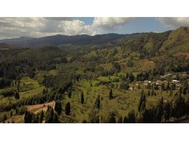  Land for sale in Guarne, Antioquia, Guarne