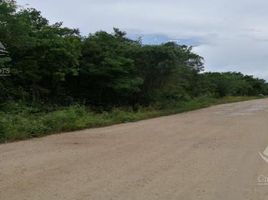  Terreno (Parcela) en venta en Cancún, Quintana Roo, Cancún