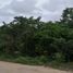  Terreno (Parcela) en venta en Cancún, Quintana Roo, Cancún