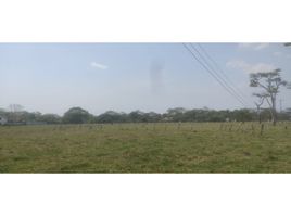  Land for sale in Meta, Restrepo, Meta