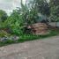  Terreno (Parcela) en venta en Kerobokan, Bali, Kerobokan, Badung, Bali