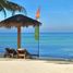  Land for sale in Island Garden Samal City, Davao, Island Garden Samal City, Davao del Norte