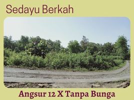  Land for sale in Sedayu, Bantul, Sedayu