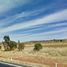  Land for sale in Panuco, Zacatecas, Panuco, Zacatecas