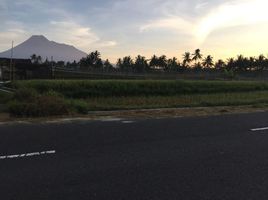  Land for sale in Yogyakarta, Seyegan, Sleman, Yogyakarta