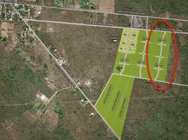  Land for sale in Tixkokob, Yucatan, Tixkokob